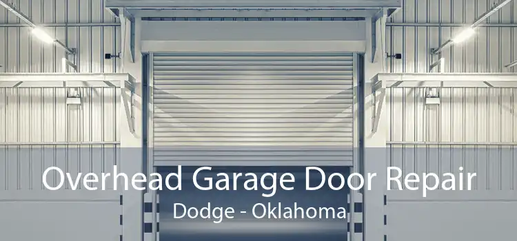 Overhead Garage Door Repair Dodge - Oklahoma