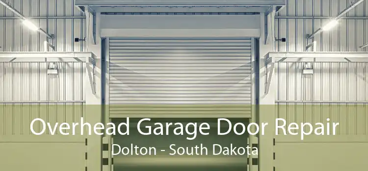 Overhead Garage Door Repair Dolton - South Dakota