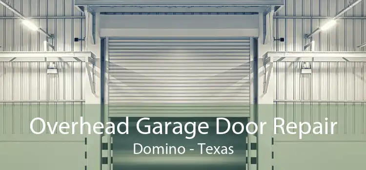 Overhead Garage Door Repair Domino - Texas