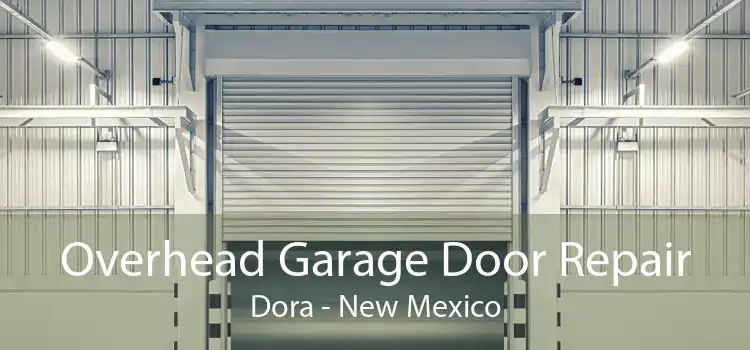 Overhead Garage Door Repair Dora - New Mexico