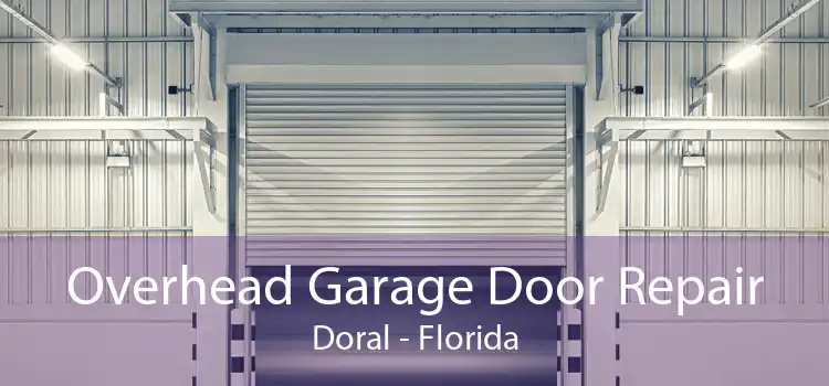 Overhead Garage Door Repair Doral - Florida