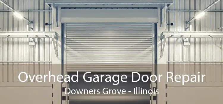 Overhead Garage Door Repair Downers Grove - Illinois