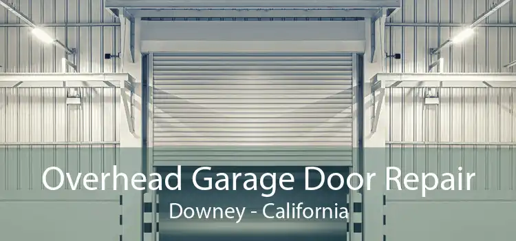 Overhead Garage Door Repair Downey - California