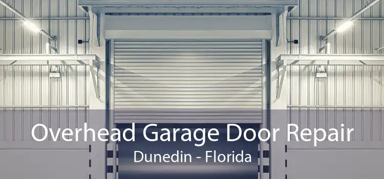 Overhead Garage Door Repair Dunedin - Florida
