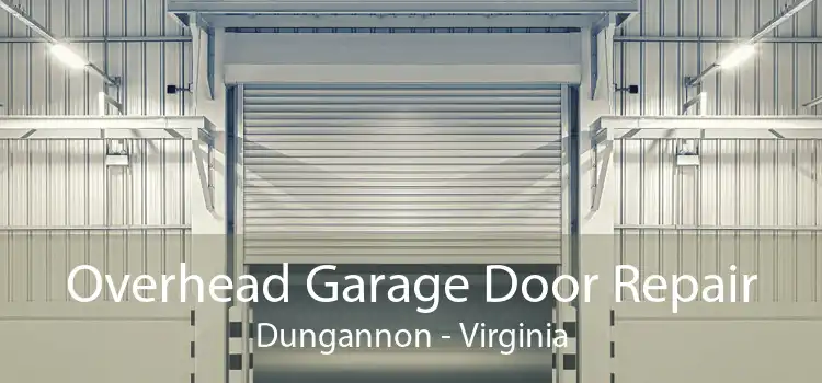 Overhead Garage Door Repair Dungannon - Virginia