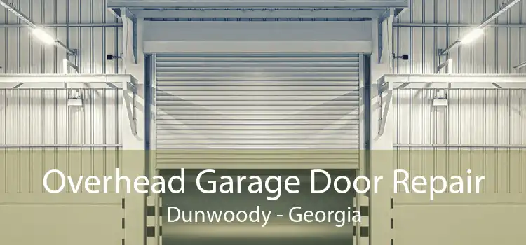 Overhead Garage Door Repair Dunwoody - Georgia