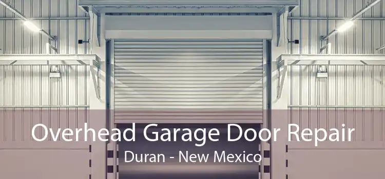 Overhead Garage Door Repair Duran - New Mexico