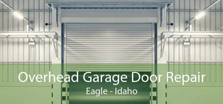Overhead Garage Door Repair Eagle - Idaho