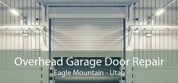 Overhead Garage Door Repair Eagle Mountain - Utah