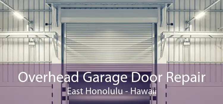 Overhead Garage Door Repair East Honolulu - Hawaii