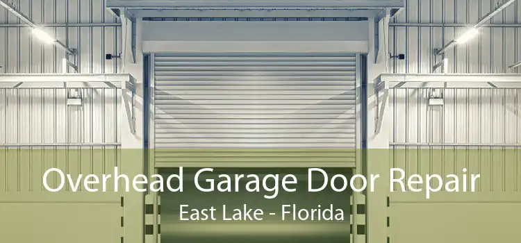 Overhead Garage Door Repair East Lake - Florida