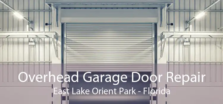 Overhead Garage Door Repair East Lake Orient Park - Florida
