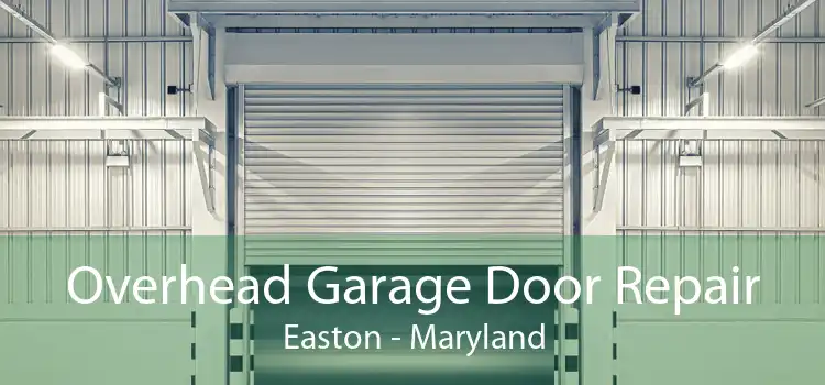 Overhead Garage Door Repair Easton - Maryland