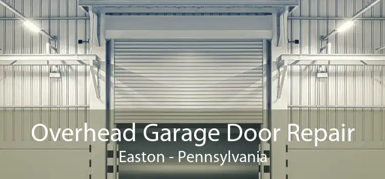 Overhead Garage Door Repair Easton - Pennsylvania