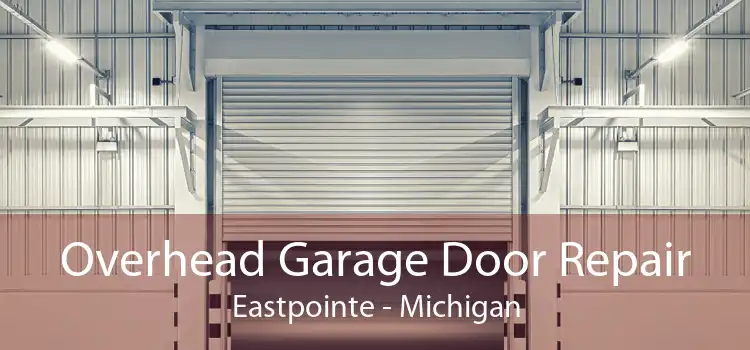 Overhead Garage Door Repair Eastpointe - Michigan