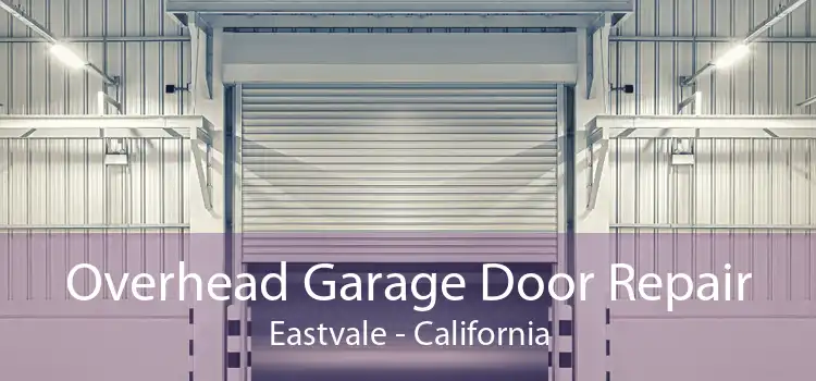Overhead Garage Door Repair Eastvale - California