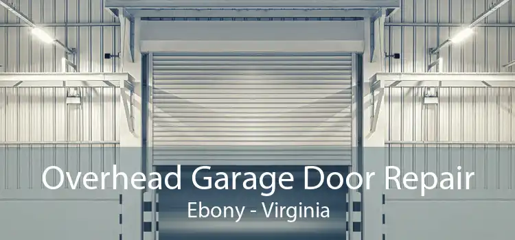 Overhead Garage Door Repair Ebony - Virginia