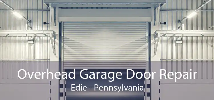 Overhead Garage Door Repair Edie - Pennsylvania