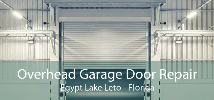 Overhead Garage Door Repair Egypt Lake Leto - Florida