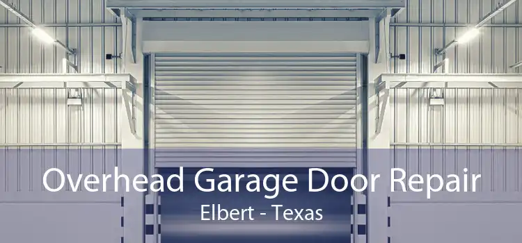 Overhead Garage Door Repair Elbert - Texas