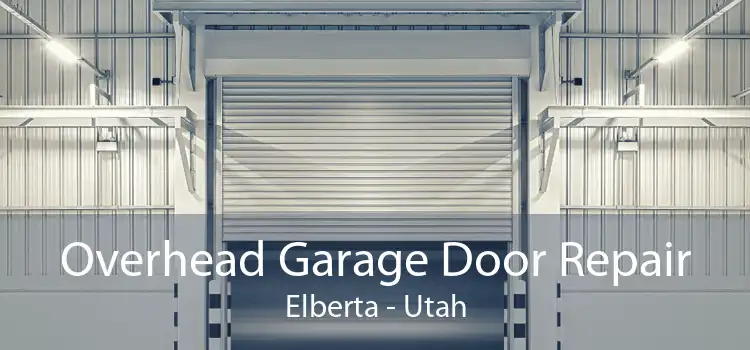 Overhead Garage Door Repair Elberta - Utah
