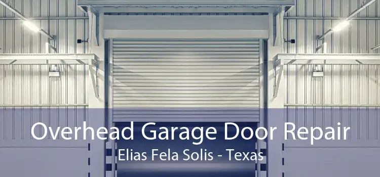 Overhead Garage Door Repair Elias Fela Solis - Texas