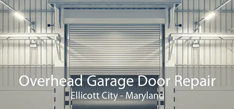Overhead Garage Door Repair Ellicott City - Maryland