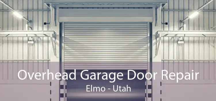 Overhead Garage Door Repair Elmo - Utah