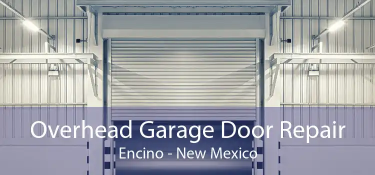 Overhead Garage Door Repair Encino - New Mexico