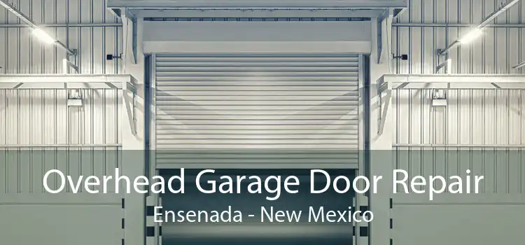 Overhead Garage Door Repair Ensenada - New Mexico