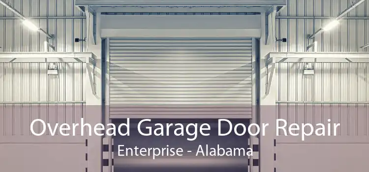 Overhead Garage Door Repair Enterprise - Alabama