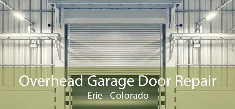 Overhead Garage Door Repair Erie - Colorado