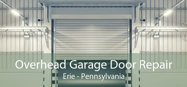 Overhead Garage Door Repair Erie - Pennsylvania
