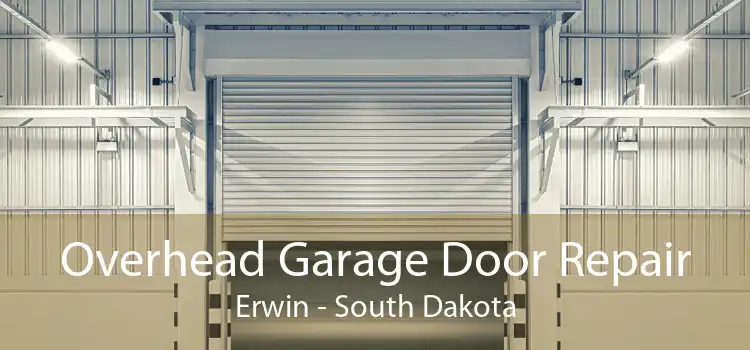 Overhead Garage Door Repair Erwin - South Dakota