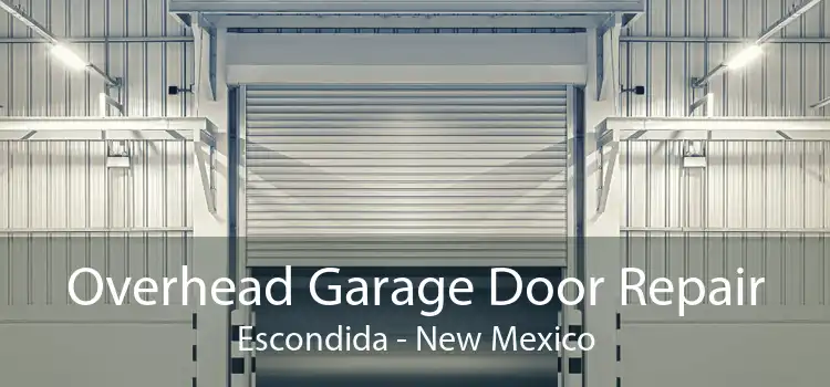 Overhead Garage Door Repair Escondida - New Mexico