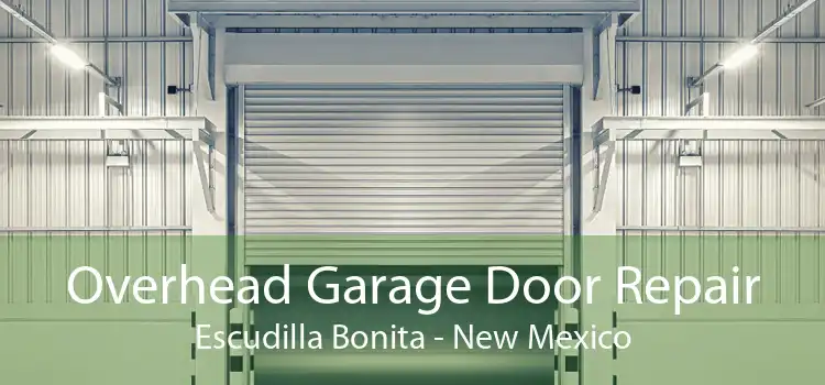 Overhead Garage Door Repair Escudilla Bonita - New Mexico