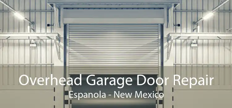 Overhead Garage Door Repair Espanola - New Mexico
