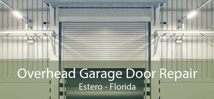 Overhead Garage Door Repair Estero - Florida