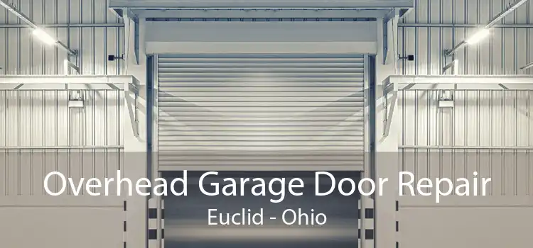 Overhead Garage Door Repair Euclid - Ohio