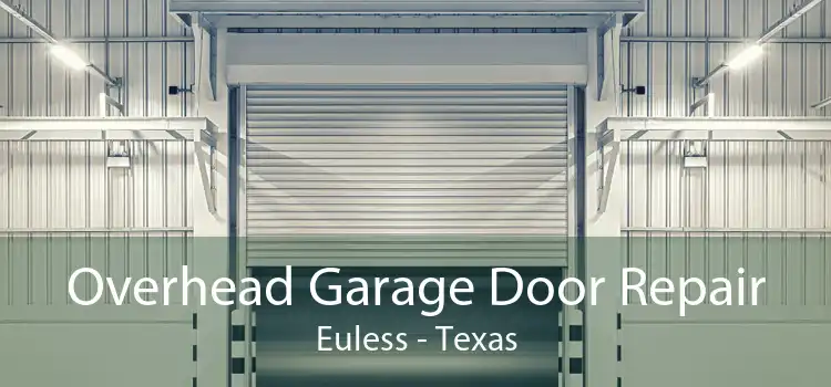 Overhead Garage Door Repair Euless - Texas