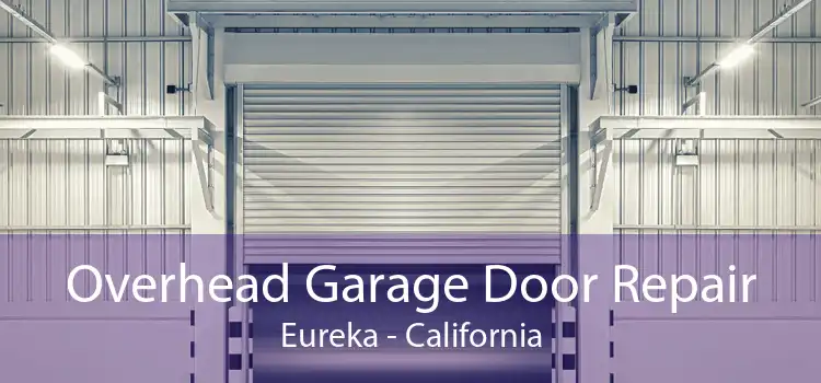 Overhead Garage Door Repair Eureka - California