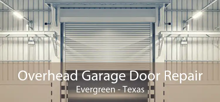 Overhead Garage Door Repair Evergreen - Texas