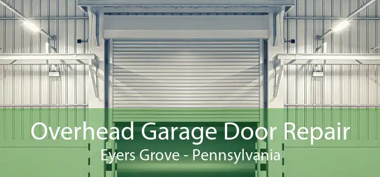 Overhead Garage Door Repair Eyers Grove - Pennsylvania