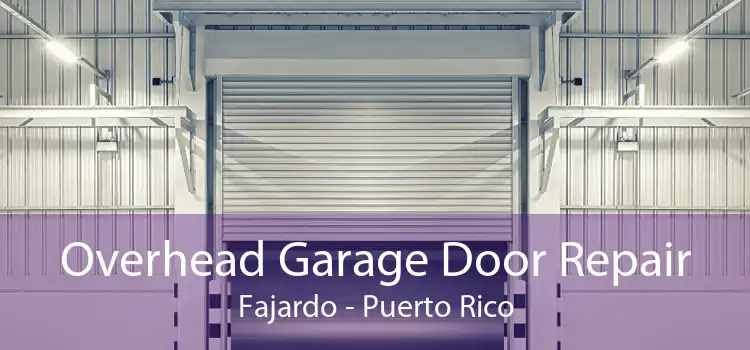 Overhead Garage Door Repair Fajardo - Puerto Rico