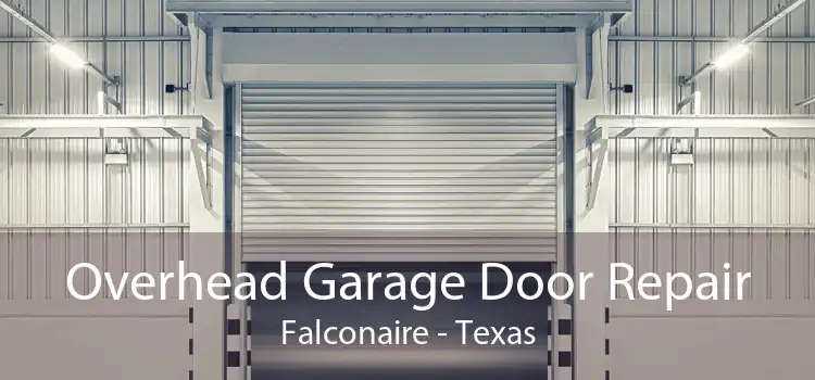 Overhead Garage Door Repair Falconaire - Texas