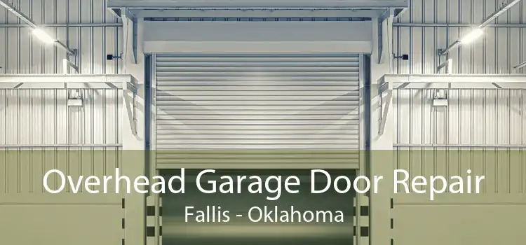 Overhead Garage Door Repair Fallis - Oklahoma