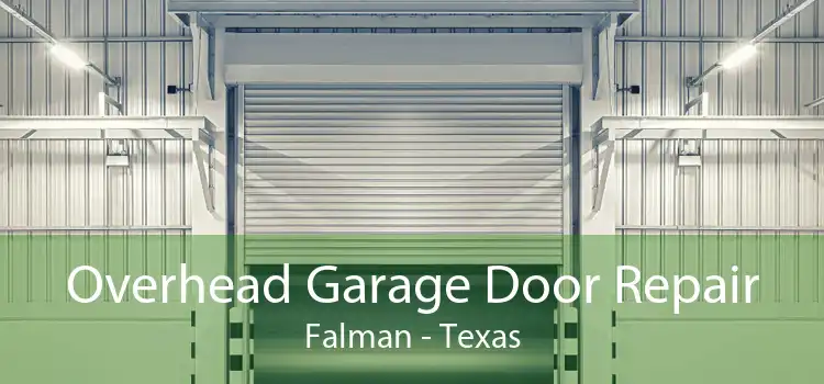 Overhead Garage Door Repair Falman - Texas