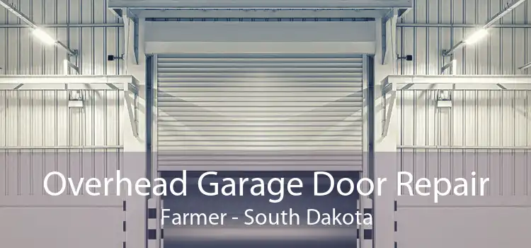 Overhead Garage Door Repair Farmer - South Dakota