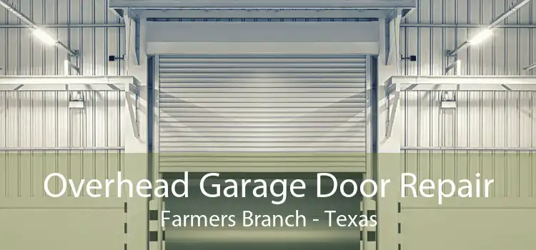 Overhead Garage Door Repair Farmers Branch - Texas