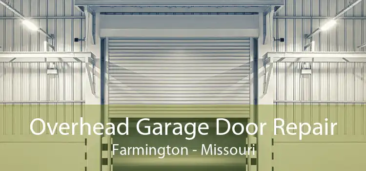 Overhead Garage Door Repair Farmington - Missouri